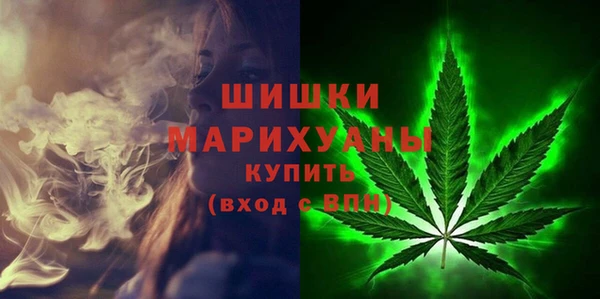 дживик Верея