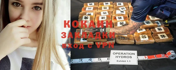 дживик Верея