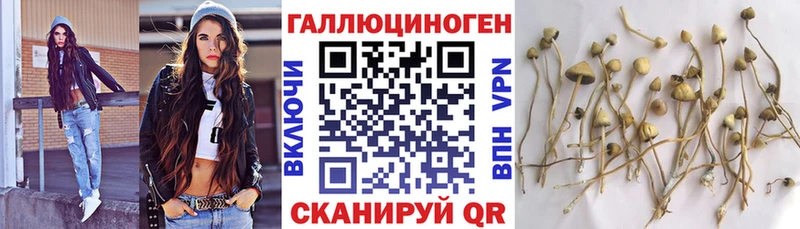 как найти закладки  Вытегра  Галлюциногенные грибы прущие грибы 